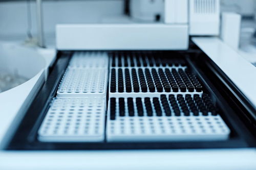 微型计算机硬件系统中最常用的输出设备